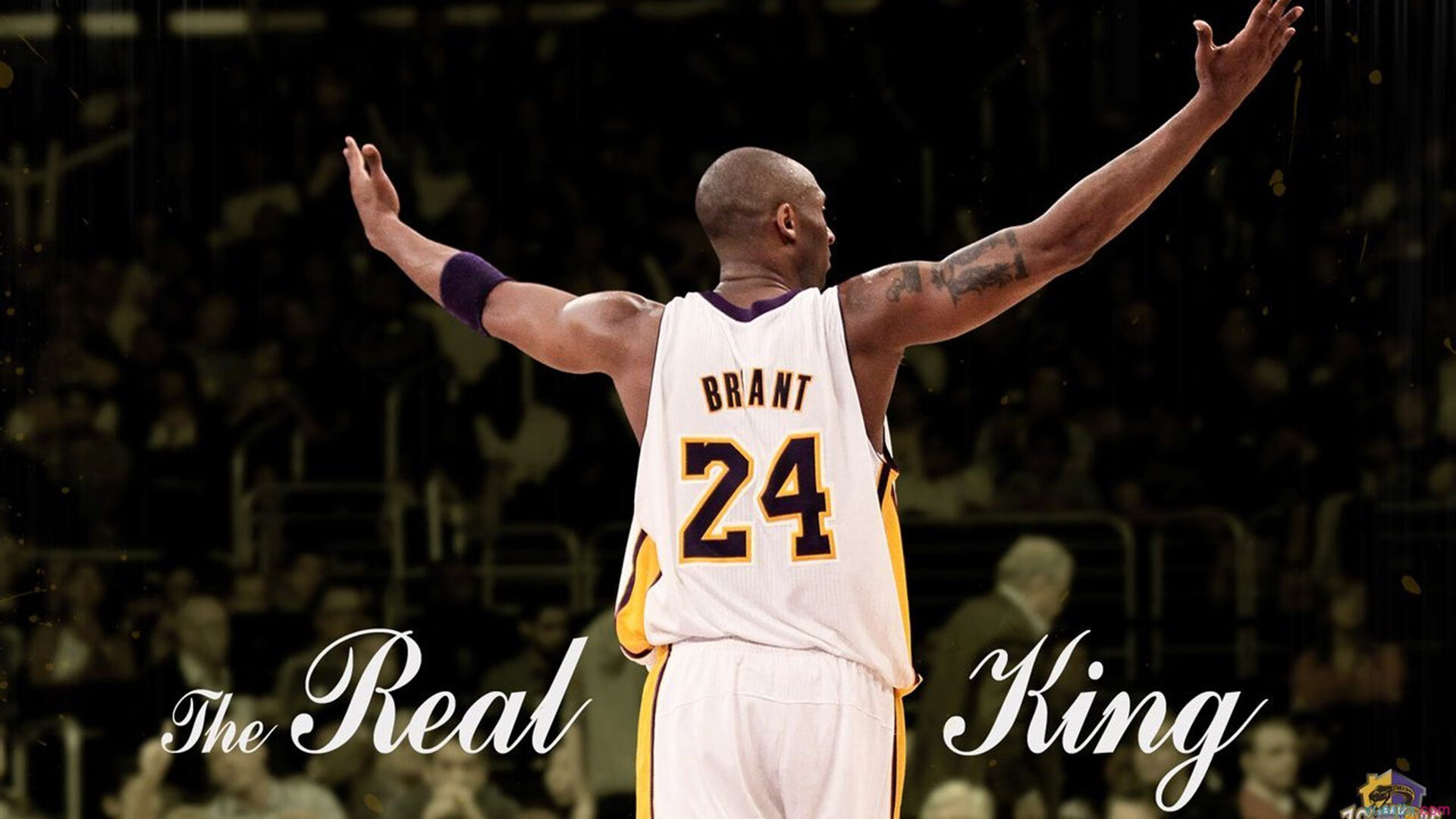 跨界传奇,当佩德里在NBA总决赛接管比赛,美国斩落卡塔尔的隐喻